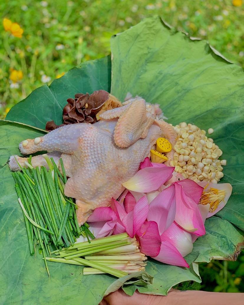 Đang sẵn hạt sen tươi, kết hợp cùng gà theo cách này đảm bảo ngon vô đối, bảo sao vua chúa ngày xưa cũng mê - Ảnh 3. Đang sẵn hạt sen tươi, kết hợp cùng gà theo cách này đảm bảo ngon vô đối, bảo sao vua chúa ngày xưa cũng mê - Ảnh 3.