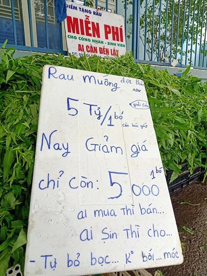 Anh bán rau khiến MXH dậy sóng: Rau muống đột biến 5 tỷ/bó nhưng sẵn sàng mang cho những người khó khăn - Ảnh 2. Anh bán rau khiến MXH dậy sóng: Rau muống đột biến 5 tỷ/bó nhưng sẵn sàng mang cho những người khó khăn - Ảnh 2.