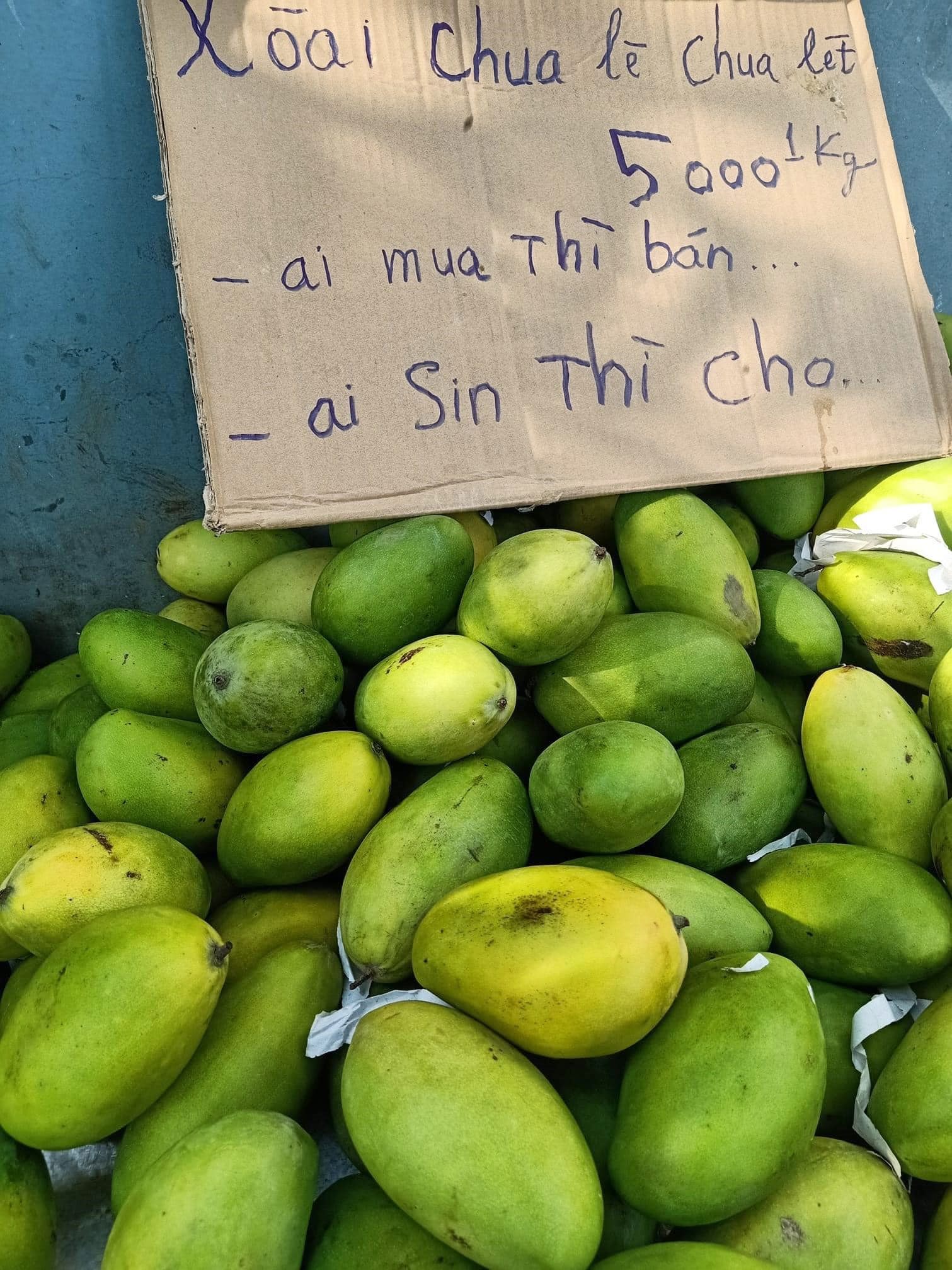 Anh bán rau khiến MXH dậy sóng: Rau muống đột biến 5 tỷ/bó nhưng sẵn sàng mang cho những người khó khăn - Ảnh 3. Anh bán rau khiến MXH dậy sóng: Rau muống đột biến 5 tỷ/bó nhưng sẵn sàng mang cho những người khó khăn - Ảnh 3.