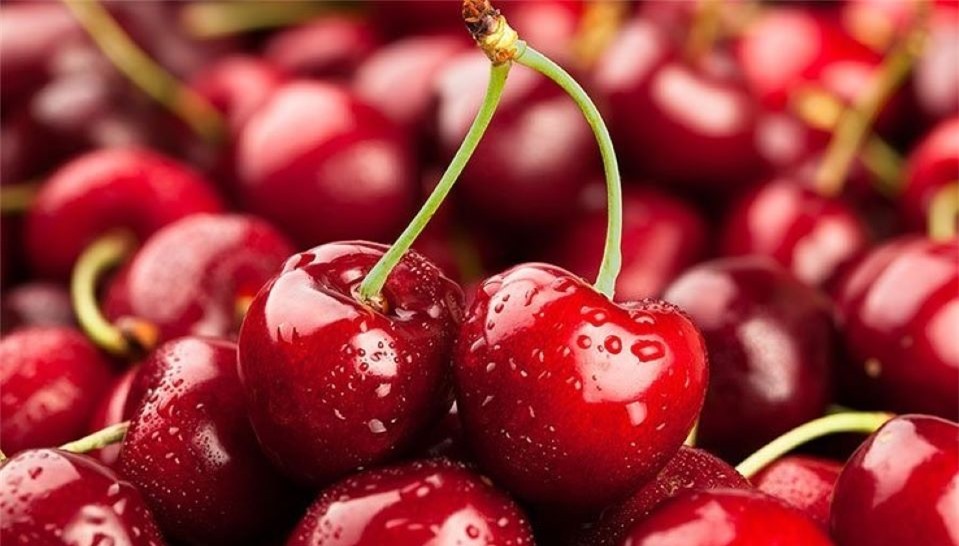 5 sai lầm khi ăn quả cherry có thể khiến bạn ngộ độc, thậm chí tử vong - Ảnh 3. 5 sai lầm khi ăn quả cherry có thể khiến bạn ngộ độc, thậm chí tử vong - Ảnh 3.