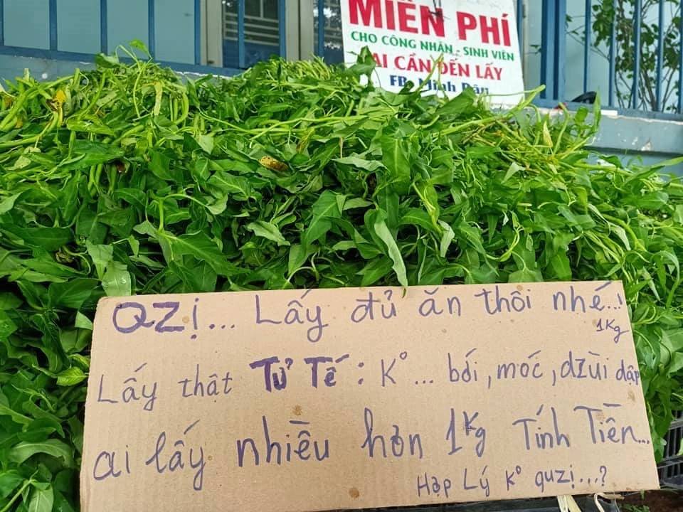 Anh bán rau khiến MXH dậy sóng: Rau muống đột biến 5 tỷ/bó nhưng sẵn sàng mang cho những người khó khăn - Ảnh 7. Anh bán rau khiến MXH dậy sóng: Rau muống đột biến 5 tỷ/bó nhưng sẵn sàng mang cho những người khó khăn - Ảnh 7.