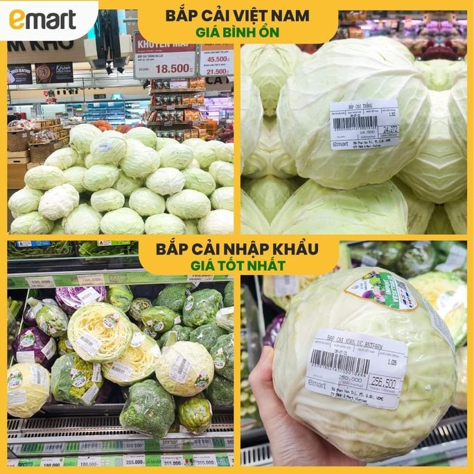 Vụ siêu thị "hét" giá bắp cải 250.000 đồng/kg trong mùa dịch Covid-19, sự thật là đâu? - Ảnh 1. Vụ siêu thị "hét" giá bắp cải 250.000 đồng/kg trong mùa dịch Covid-19, sự thật là đâu? - Ảnh 1.