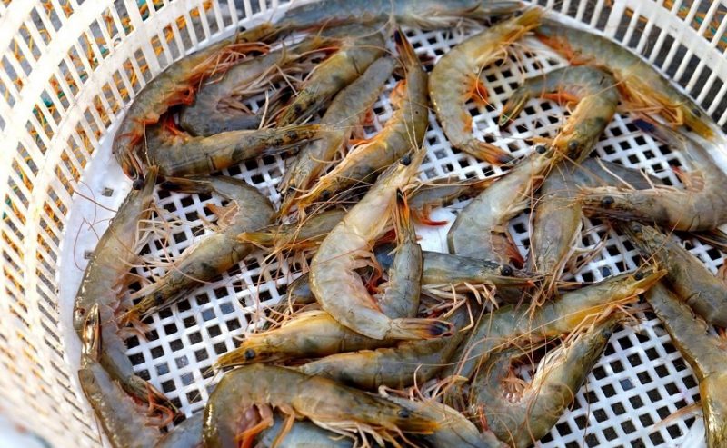 Tôm đông lạnh hấp làm theo các bước này, tôm mềm, tươi không khác gì còn sống - Ảnh 2. Tôm đông lạnh hấp làm theo các bước này, tôm mềm, tươi không khác gì còn sống - Ảnh 2.