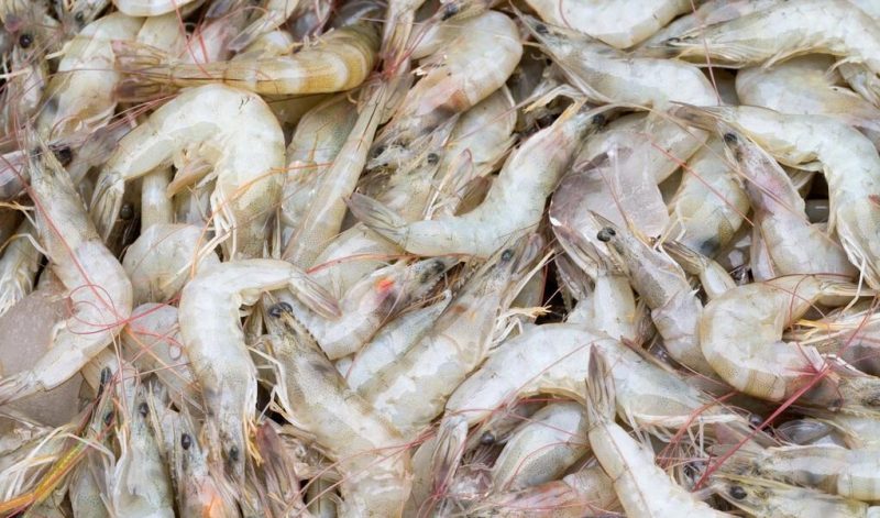 Tôm đông lạnh hấp làm theo các bước này, tôm mềm, tươi không khác gì còn sống - Ảnh 5. Tôm đông lạnh hấp làm theo các bước này, tôm mềm, tươi không khác gì còn sống - Ảnh 5.