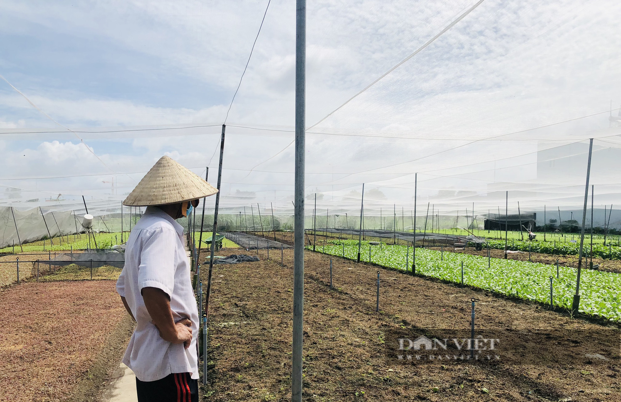 TP.HCM cấm chợ hoạt động, rau tại Hóc Môn lại khan hiếm lạ thường - Ảnh 4.