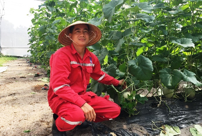 Bà Rịa-Vũng Tàu: Chàng soái ca nhà người ta bỏ làm dầu khí về nhà trồng dưa rồi cũng có tiền tỷ - Ảnh 1.