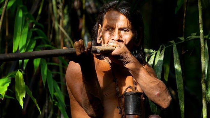 Đàn ông đa thê bộ lạc Chagua được “săn lùng” bởi bí quyết thiện xạ săn mồi - Ảnh 3.