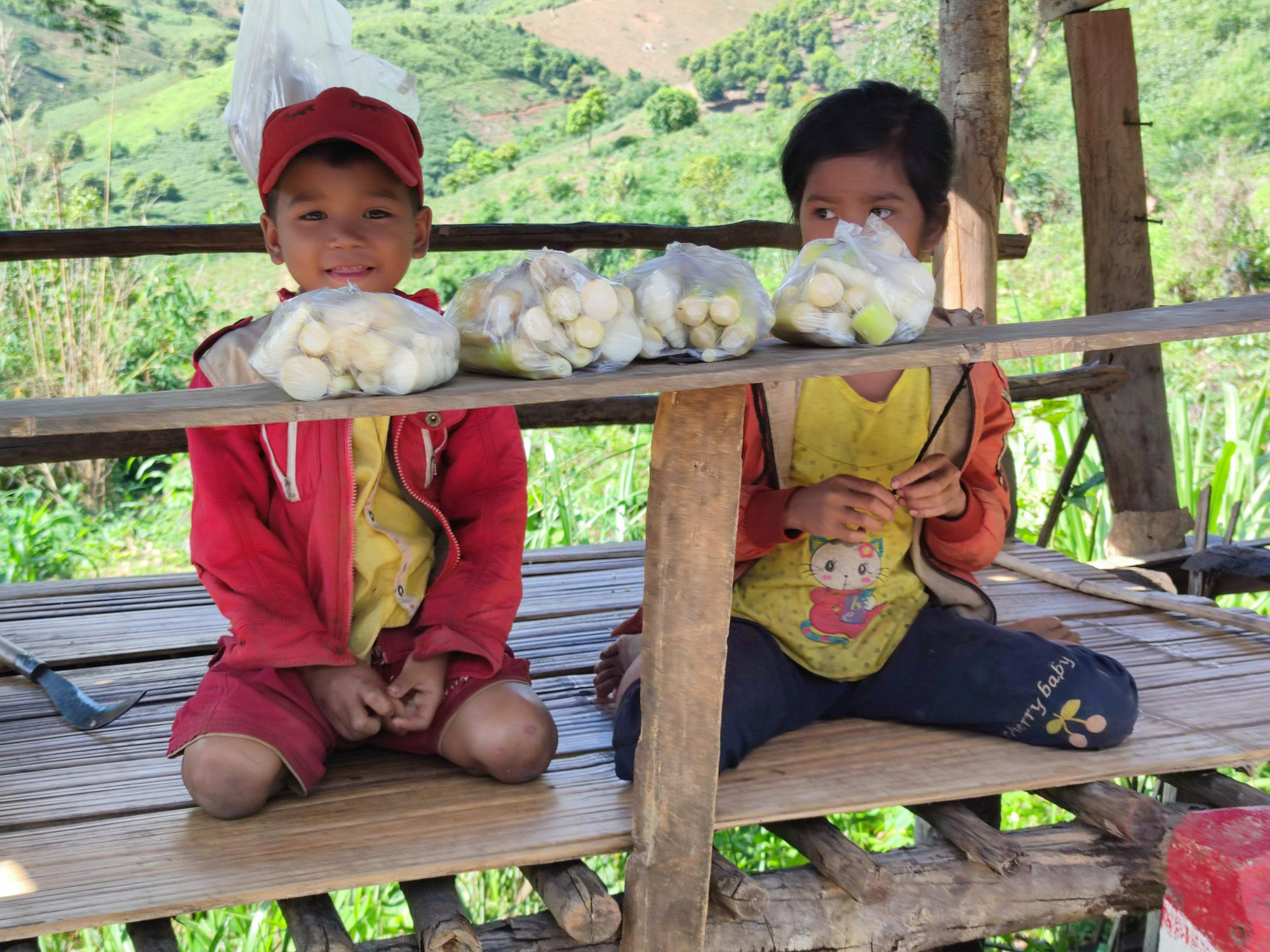 Kon Tum: La liệt sản vật sạch với giá niêm yết chỉ 10.000 đồng của trẻ em vùng cao - Ảnh 3.