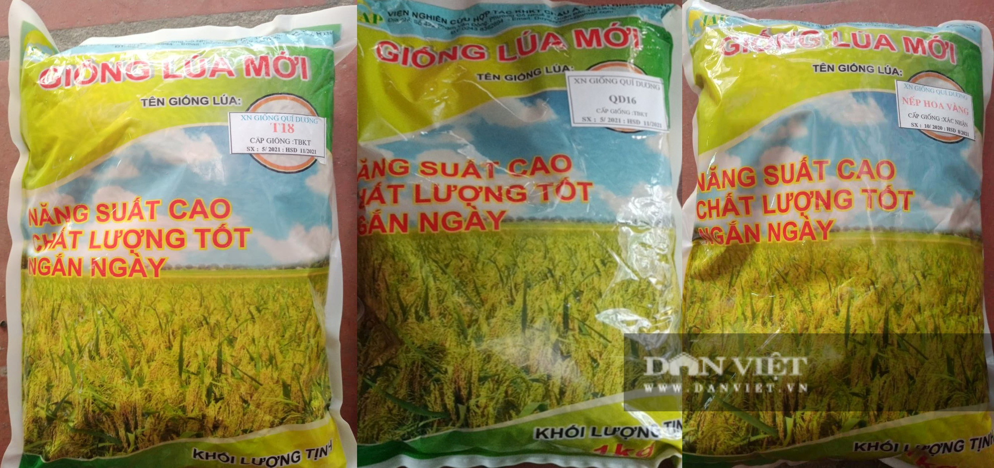 Vụ bán giống lúa &quot;lạ&quot; cho dân: Đang chơi lan đột biến bất ngờ bị mạo danh... chọn tạo giống lúa - Ảnh 4.