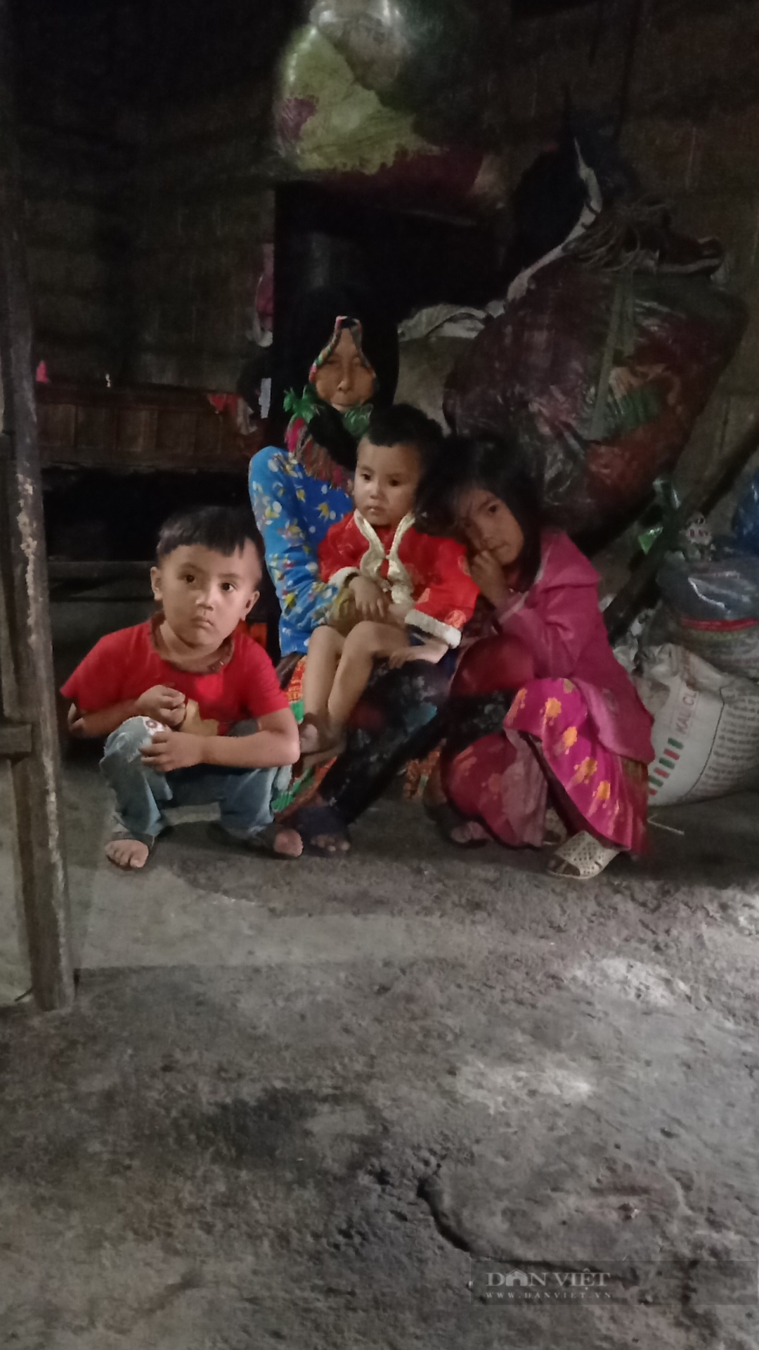 MS 012021: Hà Giang: Bà nội 72 tuổi nuôi 4 cháu mồ côi cha - Ảnh 1.
