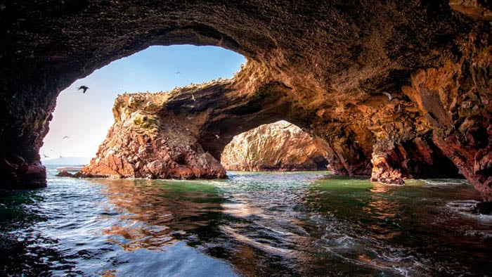 Peru: Thiên đường tự nhiên độc lạ Paracas - “nơi sa mạc gặp biển” - Ảnh 4.