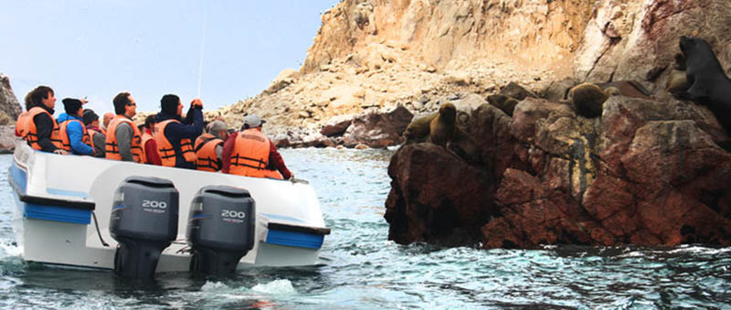 Peru: Thiên đường tự nhiên độc lạ Paracas - “nơi sa mạc gặp biển” - Ảnh 5.