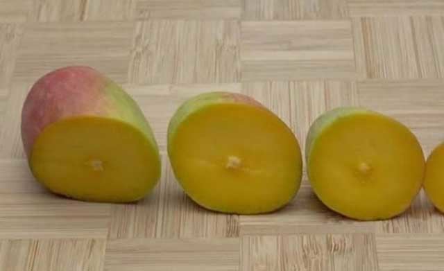 Bề ngoài nhìn như quả ớt nhưng thực ra là một giống xoài, hạt bên trong bé như que tăm - Ảnh 4.