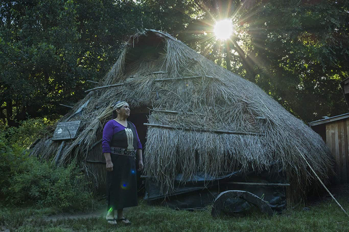 Bộ lạc thổ dân Mapuche được săn đón với phương thuốc bí truyền “tăng cường chuyện gối chăn” - Ảnh 3.