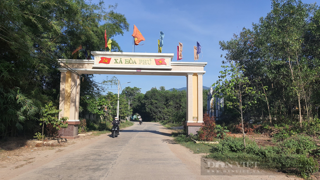Đà Nẵng: Người dân làng Cơ Tu đổi đời nhờ các mô hình kinh tế mới - Ảnh 7.
