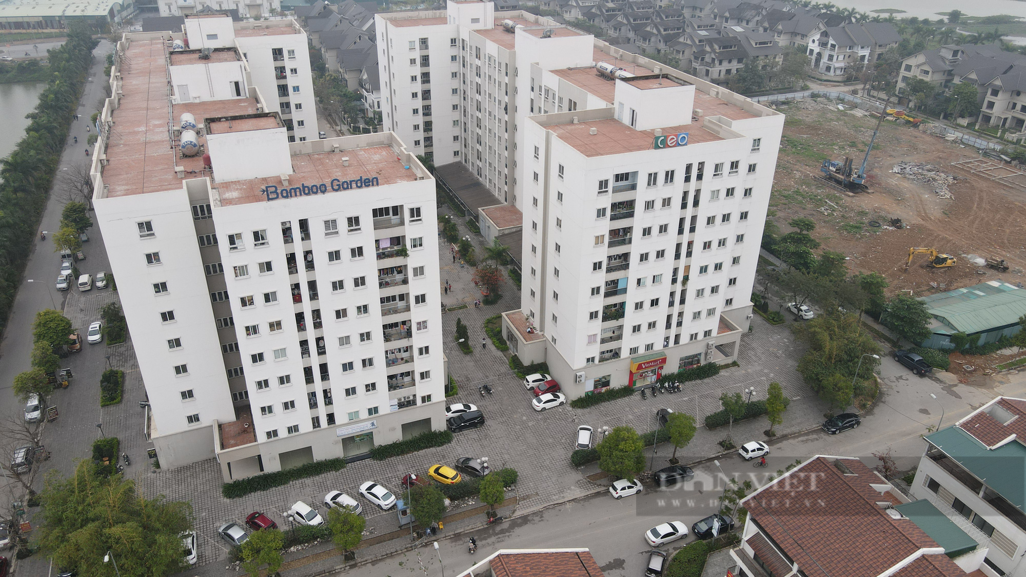 Kê khai gian, CEO Group bị truy thu hơn 1,4 tỷ đồng tiền thuế - Ảnh 1.