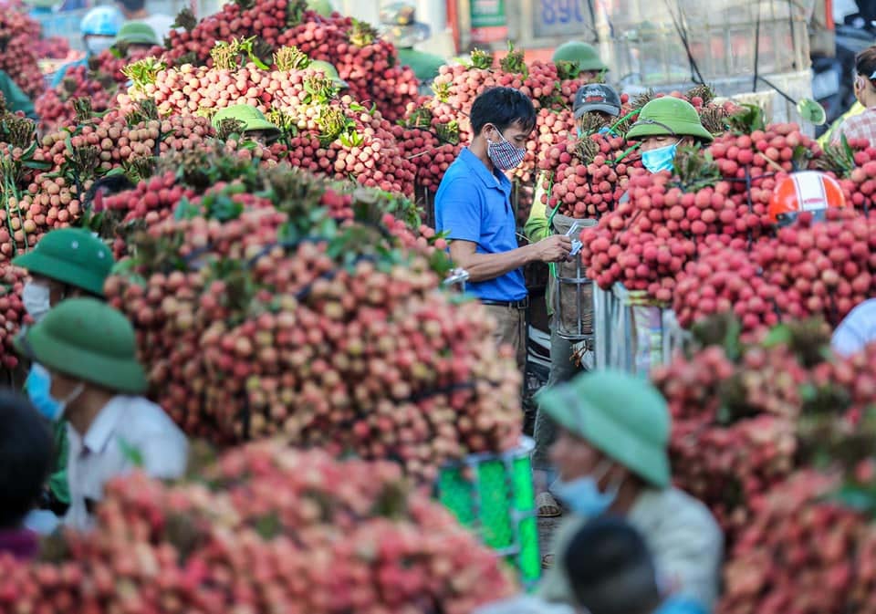 Chàng trai Bắc Giang say mê quảng bá hình ảnh du lịch quê hương - Ảnh 2.
