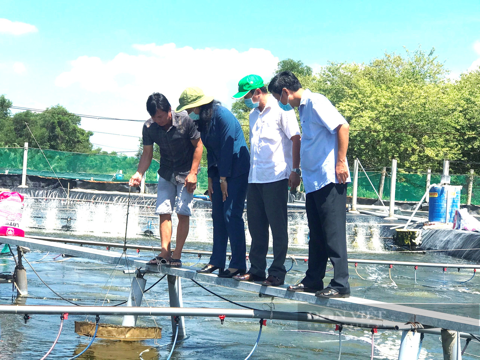 TP.HCM: Thương lái chạy dài đặc sản cua gạch nuôi trong hộp do dịch Covid-19 - Ảnh 4.