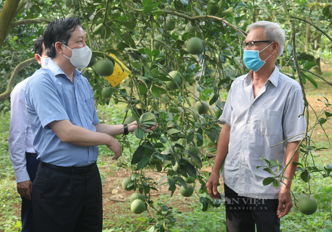 Dấu ấn Hội Nông dân trong cuộc chiến chống Covid-19 (bài cuối): Vượt khó cùng cả nước thực hiện “mục tiêu kép” - Ảnh 1.