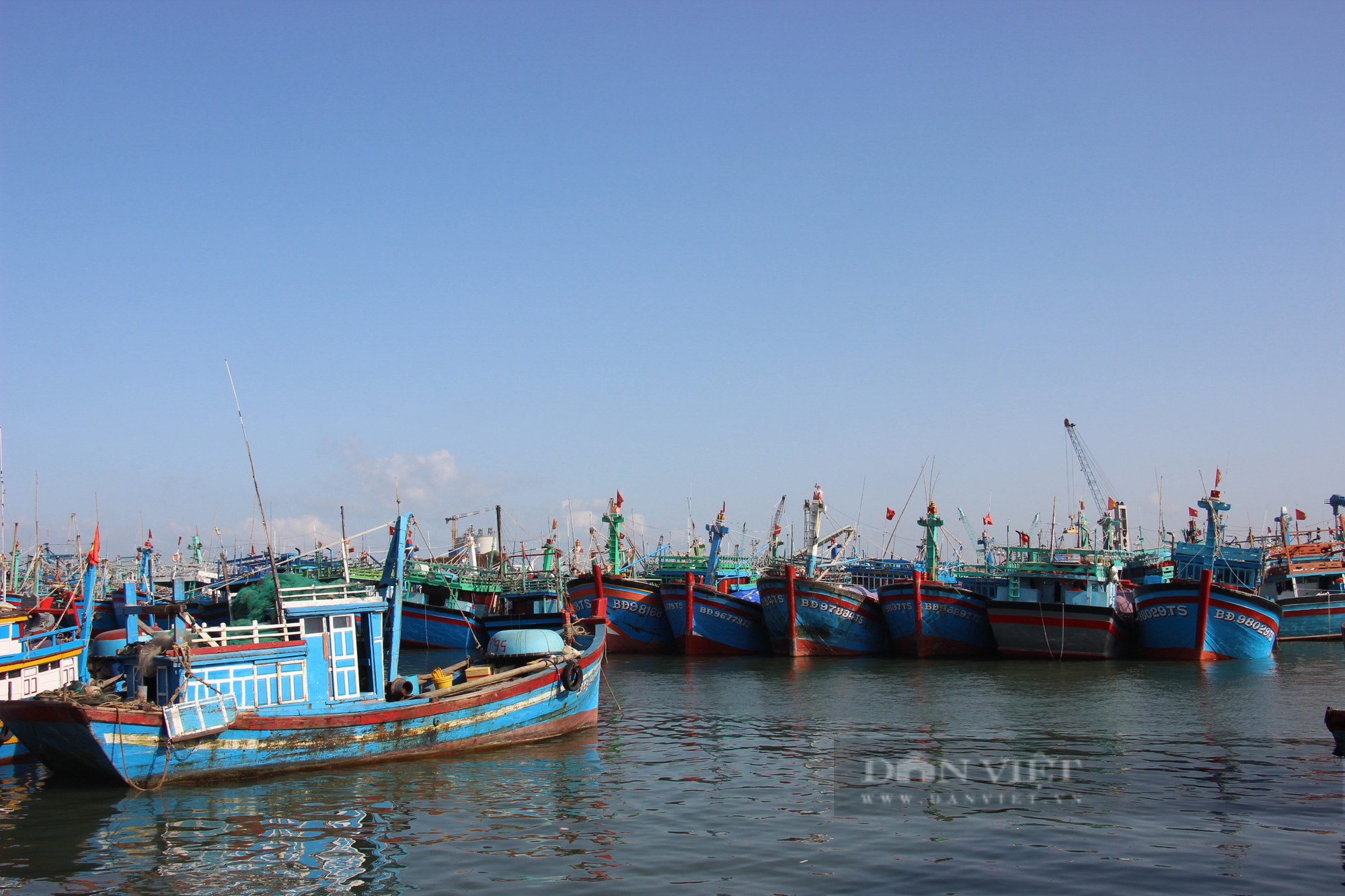“Gỡ khó” cho nông dân Bình Định giữa đại dịch Covid-19  - Ảnh 1.
