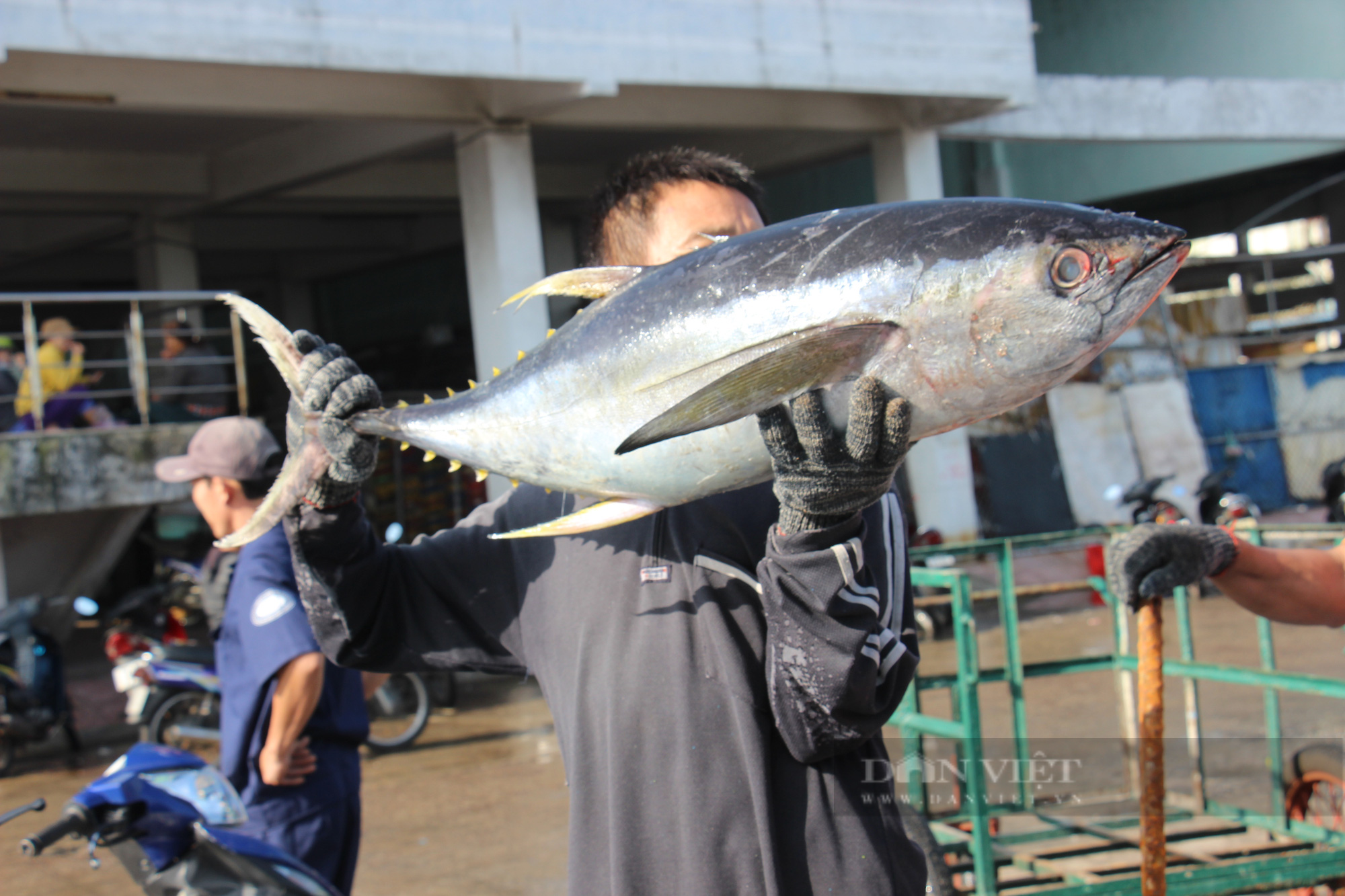 “Gỡ khó” cho nông dân Bình Định giữa đại dịch Covid-19  - Ảnh 2.