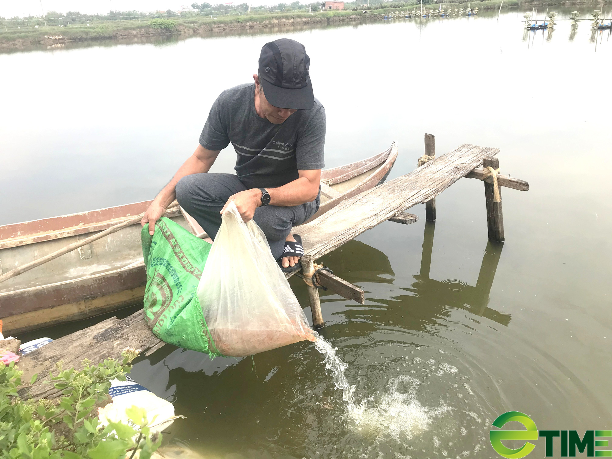 Giữ sạch môi trường nước “cứu cánh” của nghề nuôi tôm - Ảnh 2. Giữ sạch môi trường nước “cứu cánh” của nghề nuôi tôm - Ảnh 2.