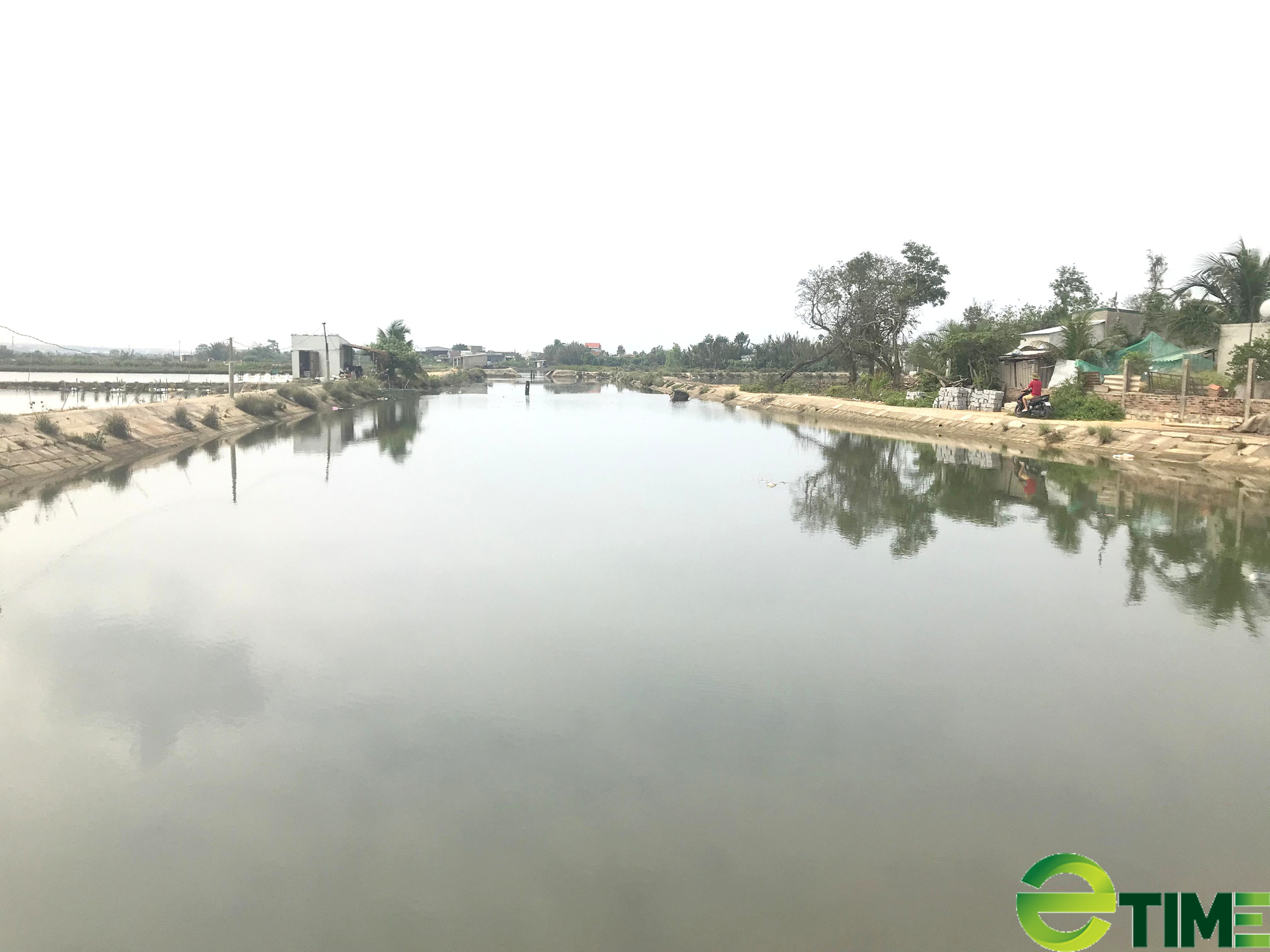 Giữ sạch môi trường nước “cứu cánh” của nghề nuôi tôm - Ảnh 3. Giữ sạch môi trường nước “cứu cánh” của nghề nuôi tôm - Ảnh 3.
