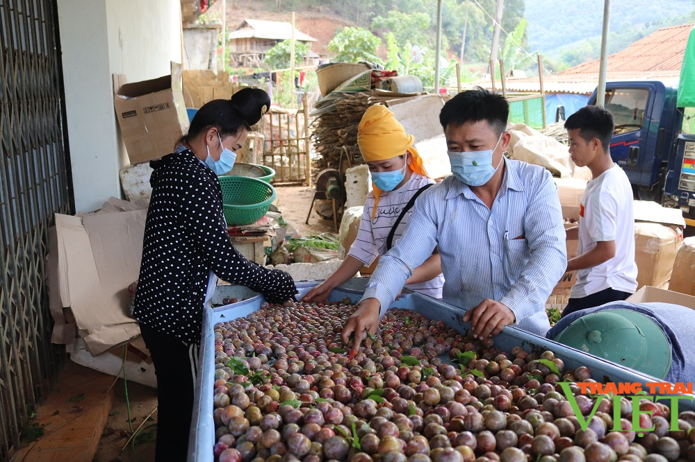 Bản Lầm nâng cao thu nhập cho người dân - Ảnh 3.