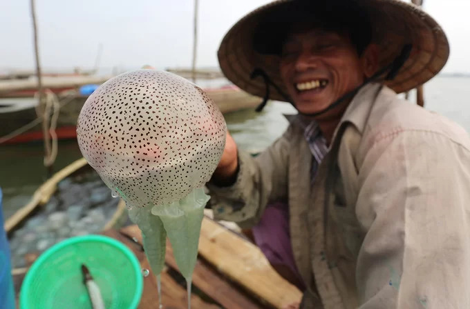 10 đặc sản nguy hiểm bậc nhất thế giới, Việt Nam có hơn 7 món, trong đó món số 2 và 5 gây bất ngờ - Ảnh 7.