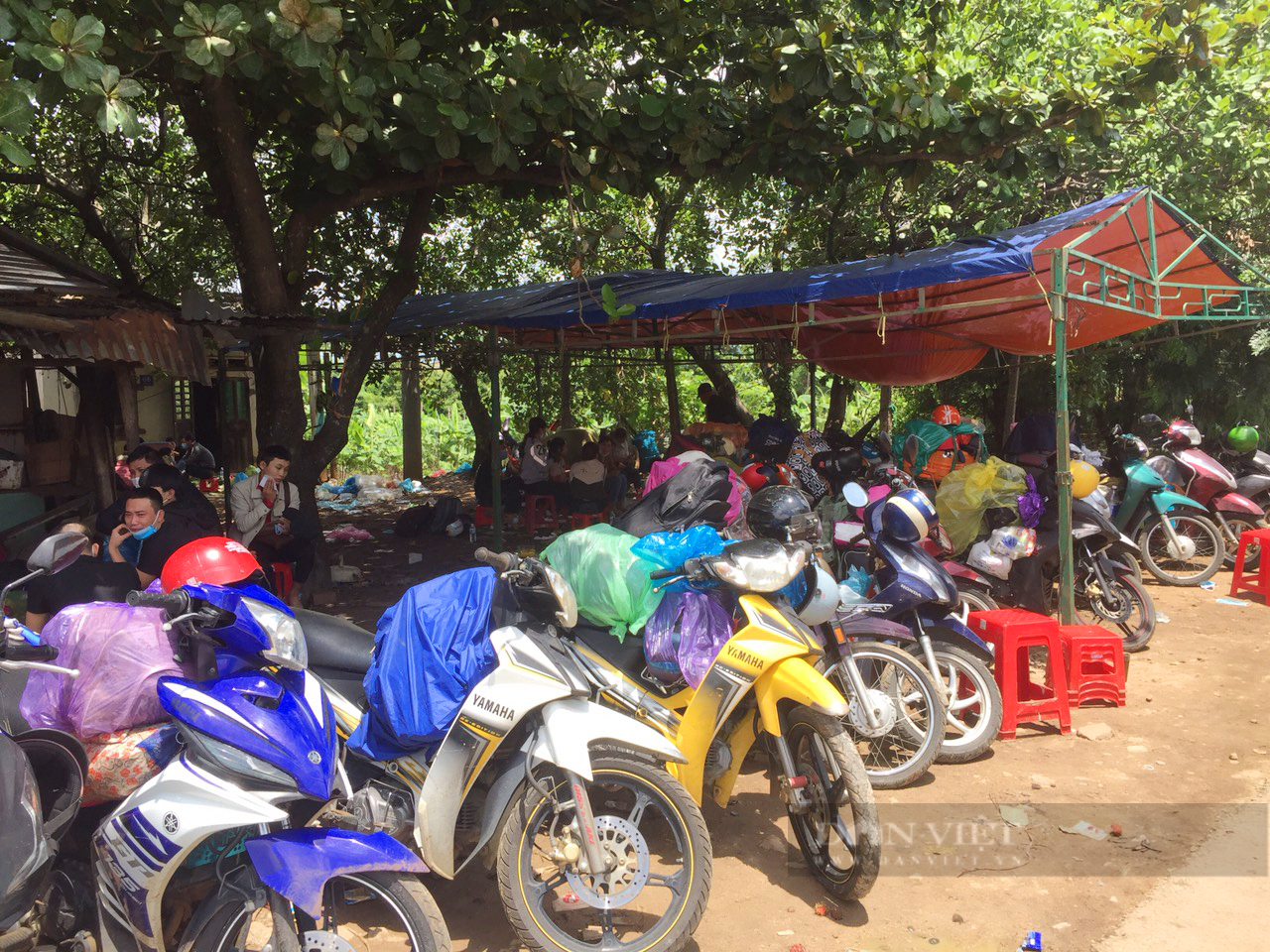 Gia Lai: Dựng lều, xây nhà vệ sinh hỗ trợ công dân trở về từ vùng dịch - Ảnh 1.