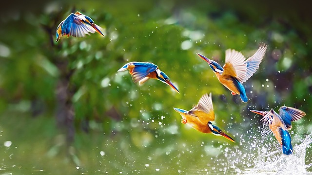 Tài lộc như mưa, 3 con giáp kiếm tiền dễ dàng trong tháng 8 - Ảnh 1.