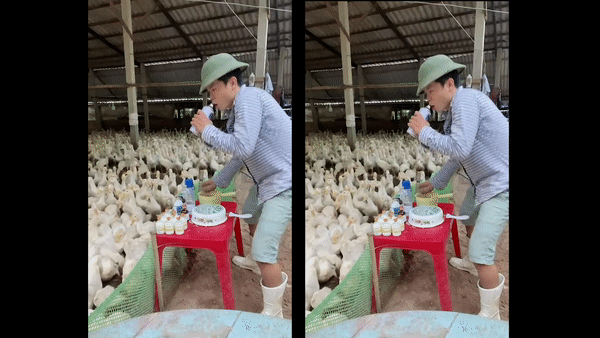 Anh nông dân bất ngờ nổi tiếng với màn &quot;chơi DJ&quot; trước đàn vịt ngàn con - Ảnh 1.