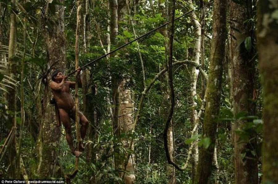 Ecuador: Bộ tộc có bàn chân biến dạng với thời trang kiểu Adam và Eva - Ảnh 7.