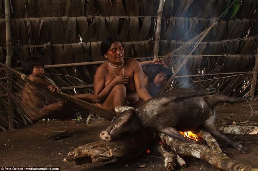 Ecuador: Bộ tộc có bàn chân biến dạng với thời trang kiểu Adam và Eva - Ảnh 1.