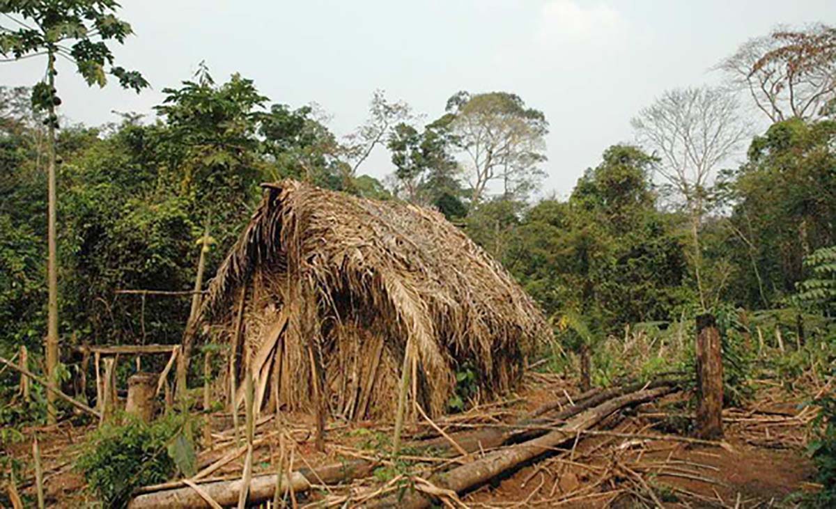 Kỳ lạ với người sống sót cuối cùng của một bộ tộc đã diệt vong tại Brazil - Ảnh 1.