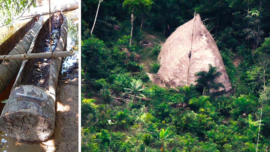 Kỳ lạ với người sống sót cuối cùng của một bộ tộc đã diệt vong tại Brazil - Ảnh 3.