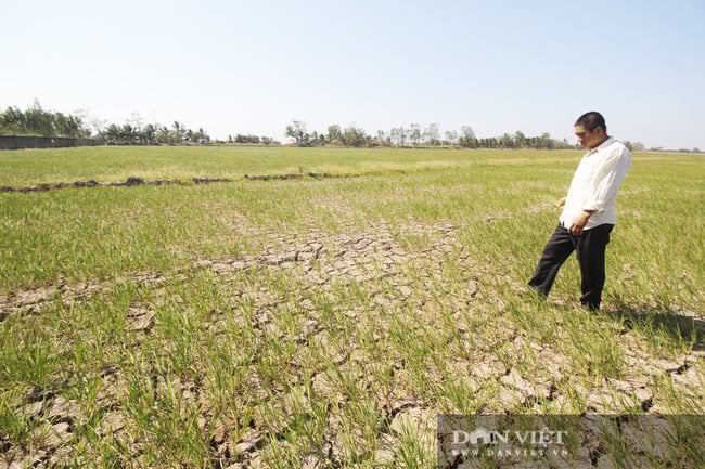 Phó thủ tướng Chính phủ Lê Văn Thành làm Chủ tịch Hội đồng Điều phối vùng ĐBSCL - Ảnh 2.