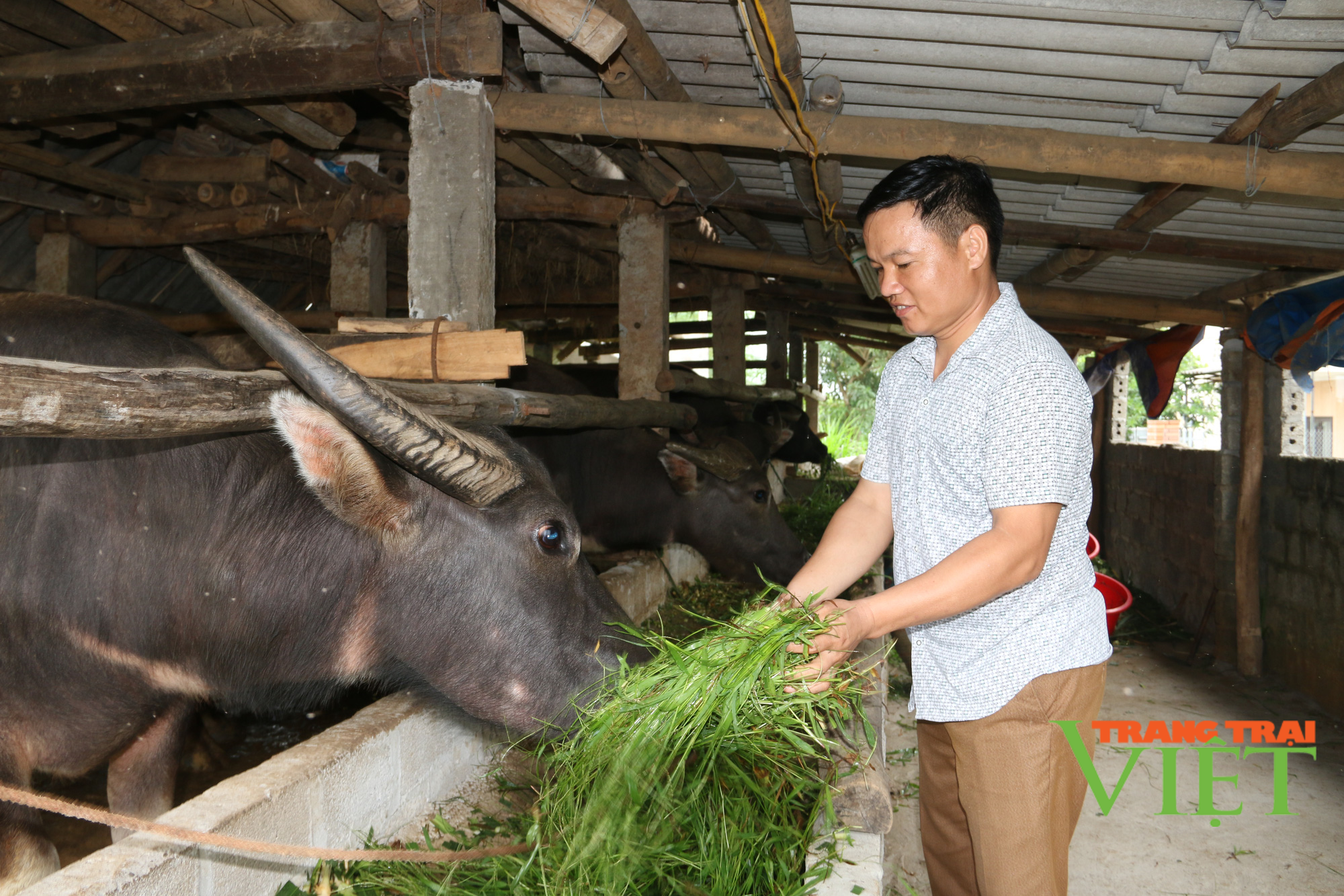 Đảng bộ huyện Cao Phong: Chú trọng công tác xây Đảng và bồi dưỡng đảng viên là người dân tộc thiểu số - Ảnh 3.