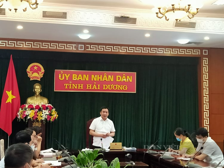 Hải Dương: Đề xuất tháo gỡ khó khăn trong tiêu thụ nông sản do ảnh hưởng dịch bệnh Covid-19 - Ảnh 2.