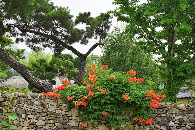 Con giáp tuổi Thìn sinh tháng Âm lịch này thuận buồm xuôi gió, gặt hái thành công - Ảnh 3.