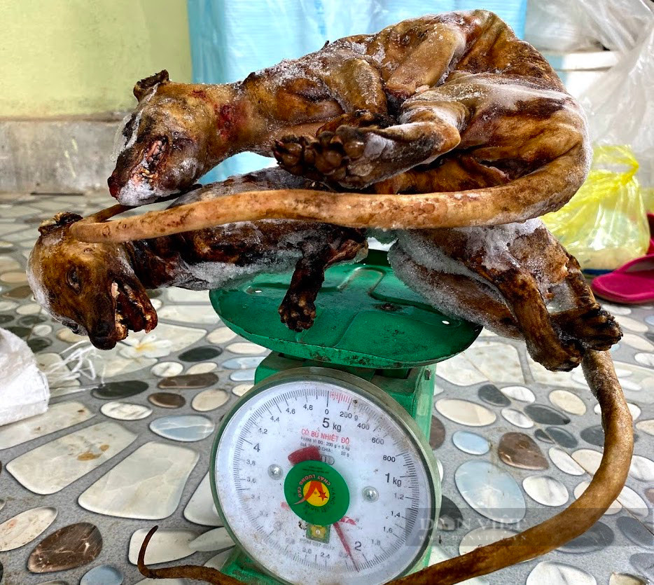 TSKH Nghiêm Vũ Khải: Sử dụng chất thay thế tương đương các sản phẩm từ động vật hoang dã - Ảnh 3.