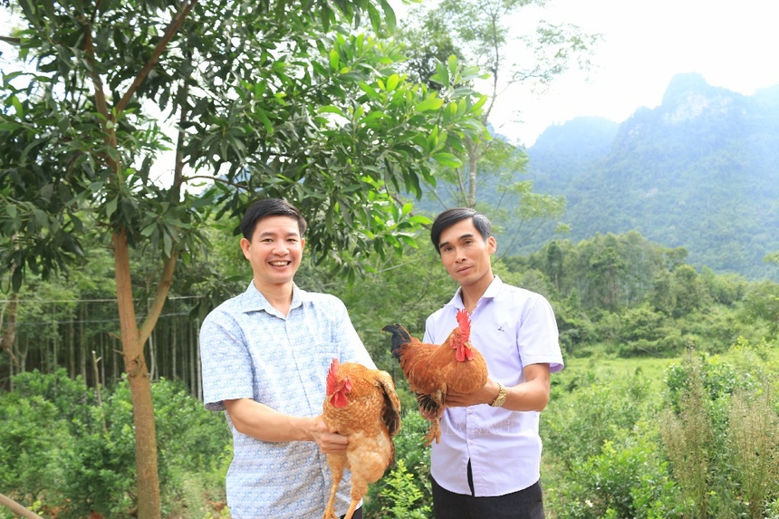 Thả bạt ngàn gà trên đồi, anh nông dân người Nùng có tiền tỷ thu về - Ảnh 2.