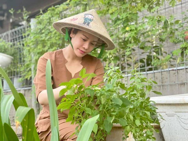 Biệt thự &quot;khủng&quot; của Nhật Kim Anh gây &quot;choáng&quot; vì hóa vườn rau xanh mướt, đắt giá - Ảnh 3.