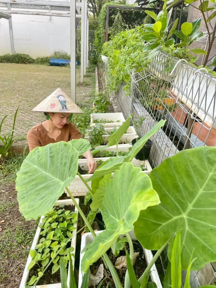 Biệt thự &quot;khủng&quot; của Nhật Kim Anh gây &quot;choáng&quot; vì hóa vườn rau xanh mướt, đắt giá - Ảnh 2.