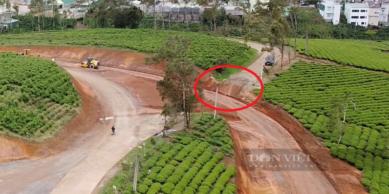 Lâm Đồng: Cận cảnh Dự án điện gió Cầu Đất &quot;phá nát&quot; đồi chè trăm tuổi  - Ảnh 6.