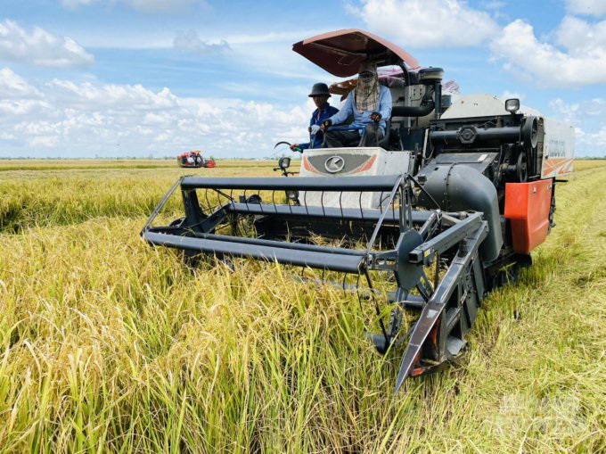 Bình ổn giá phân bón: Nên chăng giải quyết căn cơ vấn đề đầu ra nông sản? - Ảnh 3.