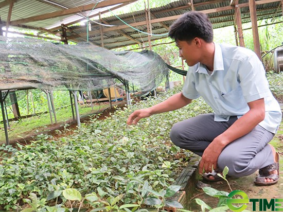 Quảng Nam: Người thổi hồn và đưa các đặc sản miền núi vươn xa - Ảnh 3.