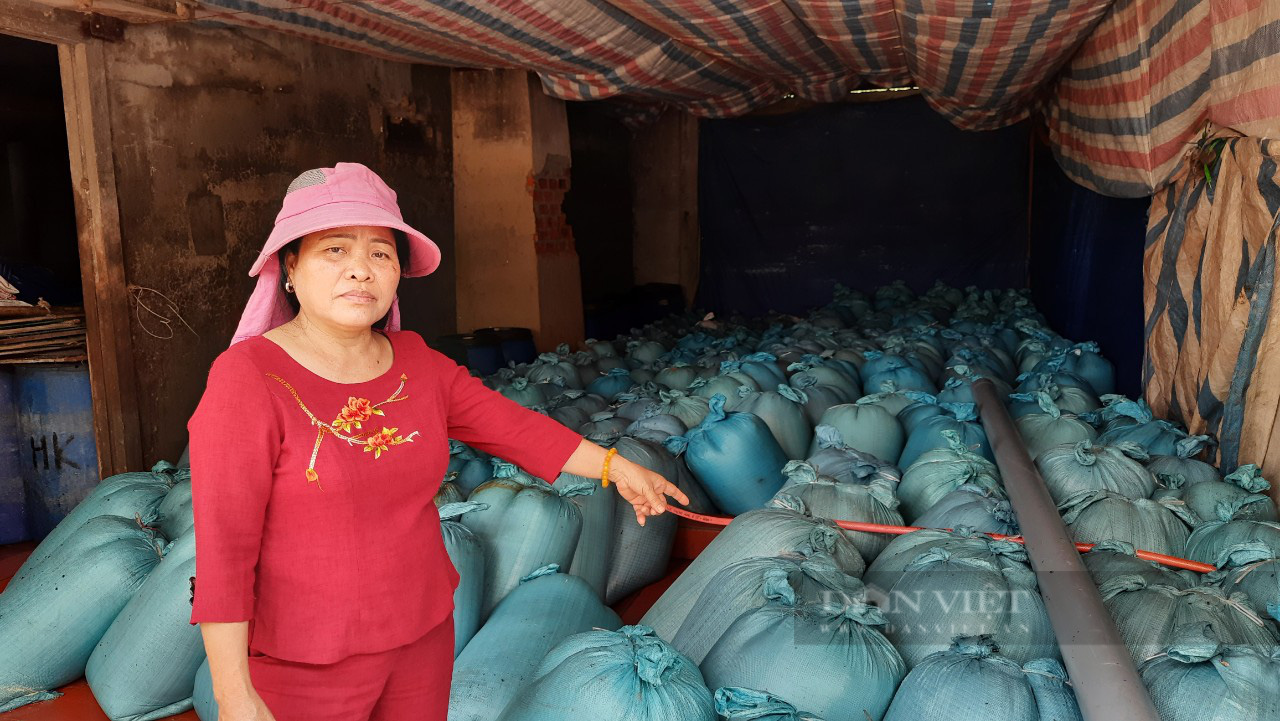 Bồi thường sự cố môi trường biển Formosa: Người “kiện” không chứng minh được lời mình nói - Ảnh 2.