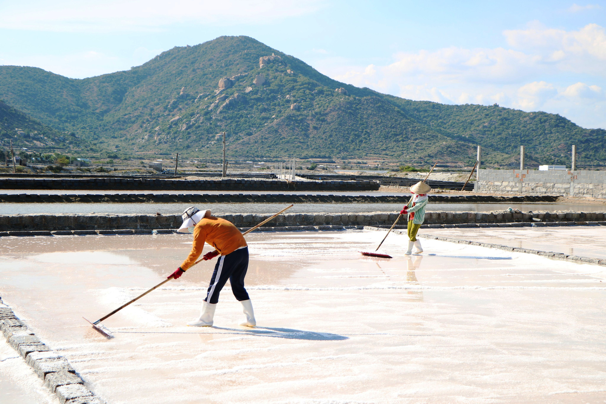 Giá muối tăng cao, diêm dân Ninh Thuận lãi trên 10 triệu đồng/ha - Ảnh 4.