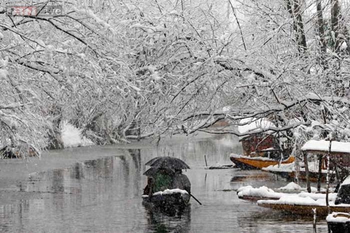 Biểu tượng vẻ đẹp du lịch Kashmir có nguy cơ “biến mất” - Ảnh 4.